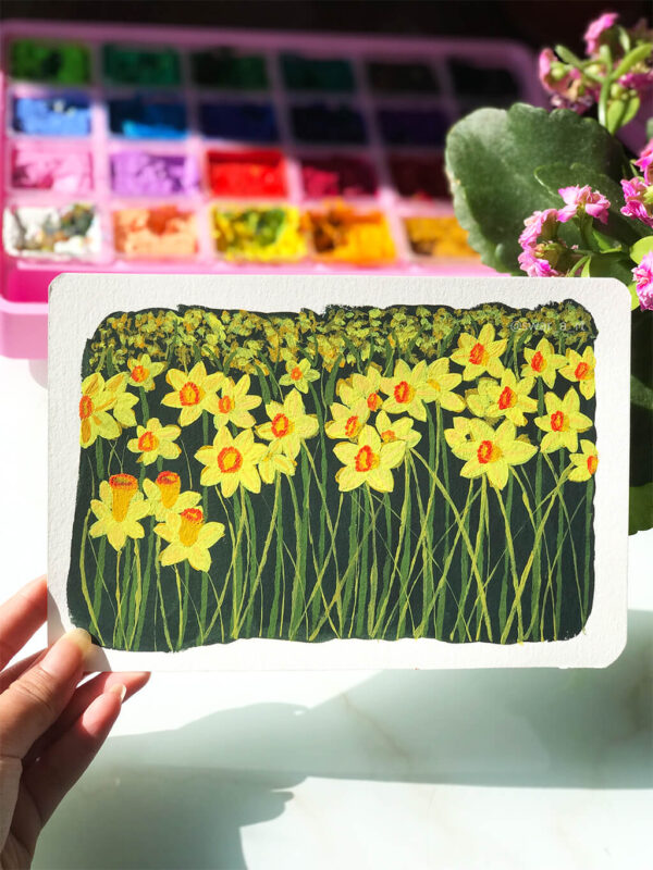 Daffodil Fields