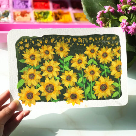 Sunflower Fields