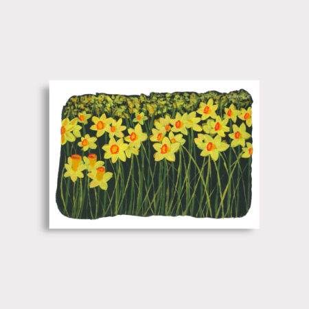 Daffodil Fields Print